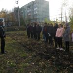 Особенности посадки деревьев