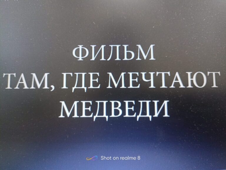 “Там, где мечтают медведи”